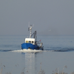 Dalībvalstis Briselē lems par zvejas tiesībām ES un citos ūdeņos